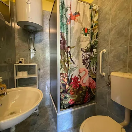 Dejan 3-city Centar Near Arena With Free Parking * Pula